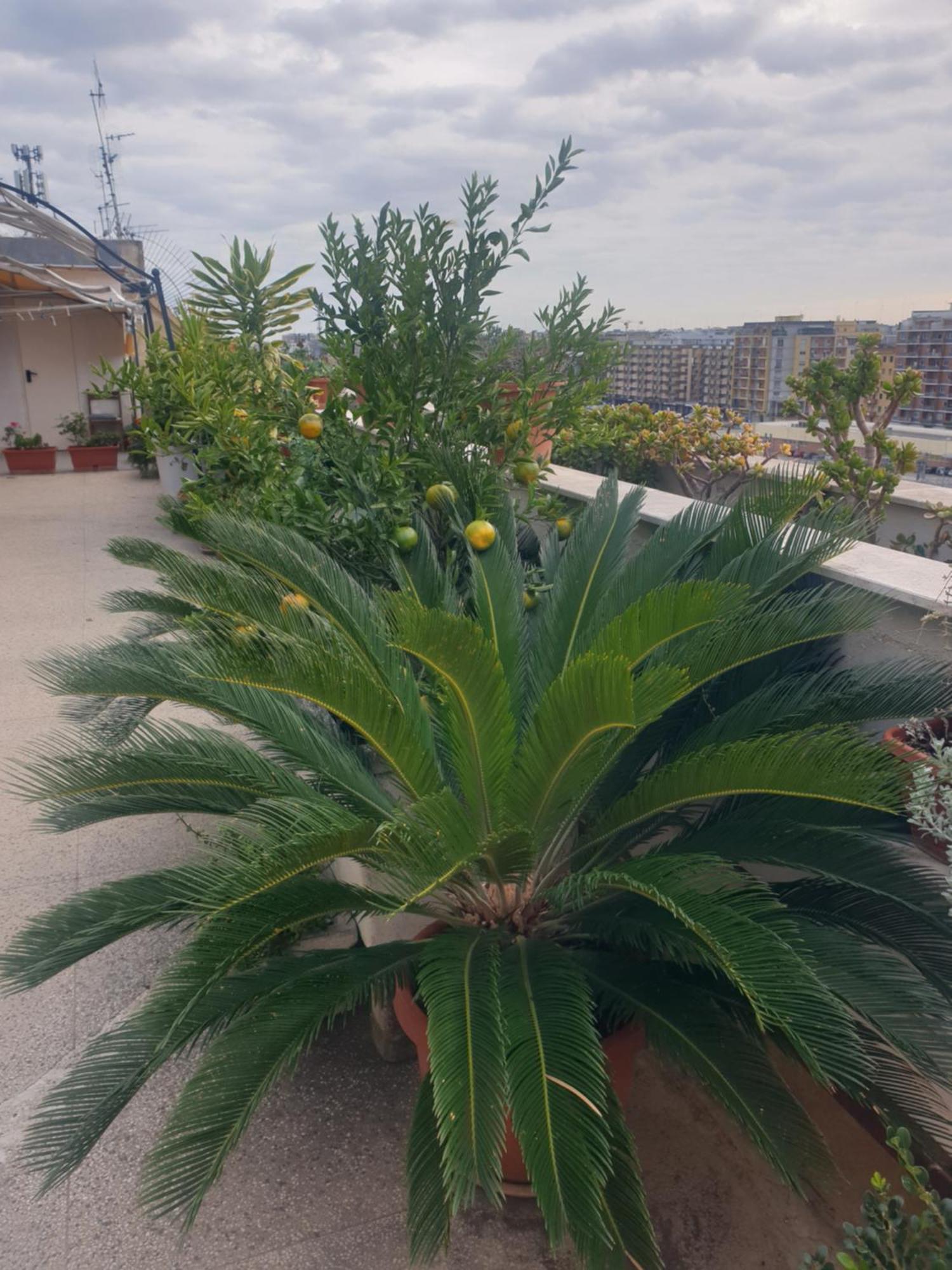 B&B Ganaj La Terrazza Di Ganaj Bari Exterior foto
