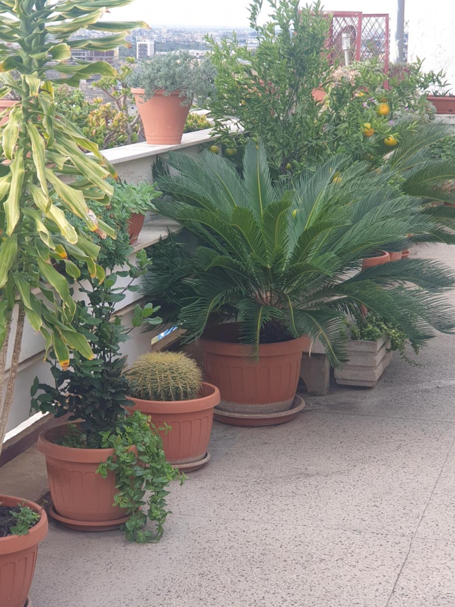 B&B Ganaj La Terrazza Di Ganaj Bari Exterior foto